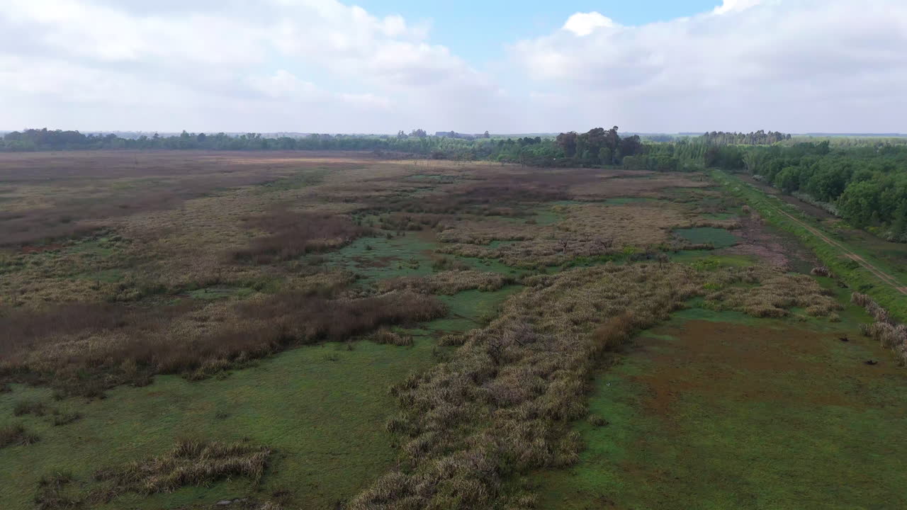 Aerial view of subtropical wetlands and swamps in atlantic forest of Argentina
