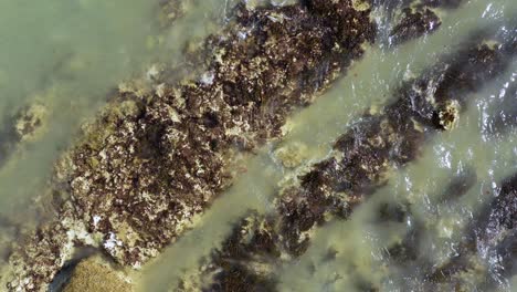 top down aerial view of the tide rolling in over rocks at brighton beach, uk