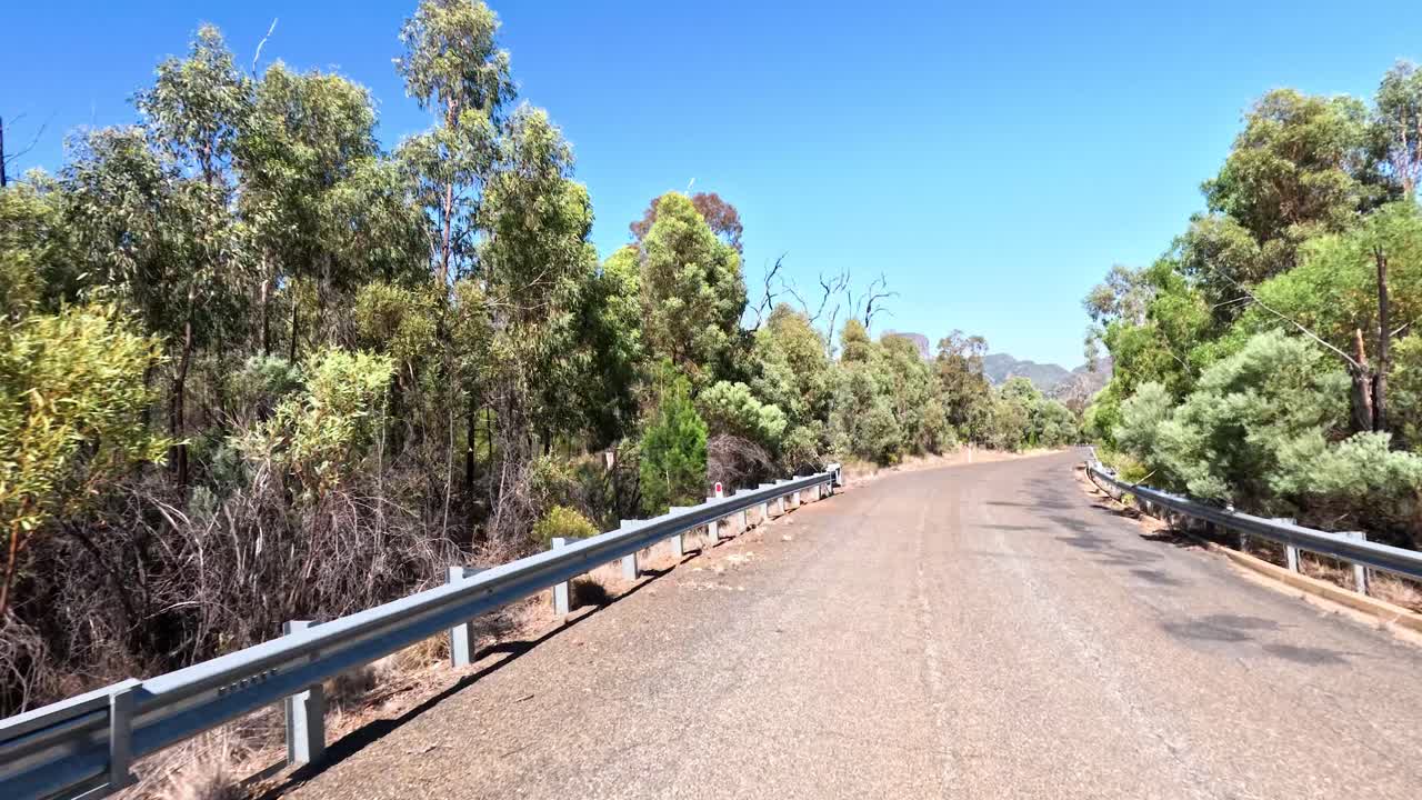 conduciendo a través de una carretera boscosa en coonabarabran, australia