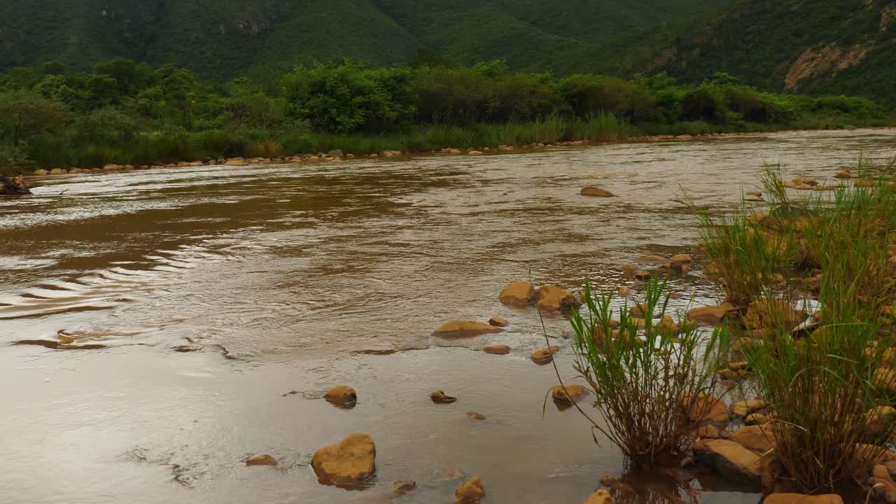 río pongola fangoso que fluye lentamente a través del paisaje montañoso africano en verano con hierba verde en primer plano que sopla en la brisa y un espeso arbusto verde en el fondo