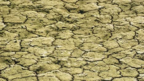 drought cracked dry ground soil earth environmental issue field without rain