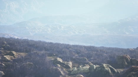 misty mountain landscape