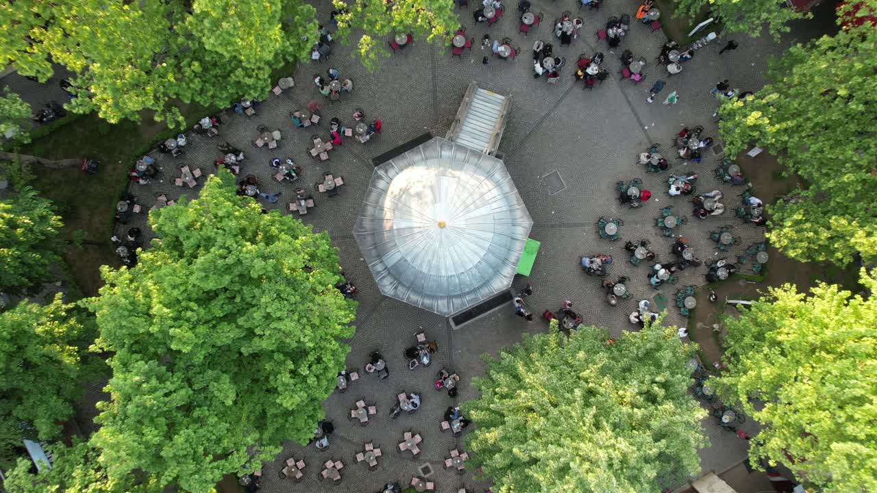 에어리얼 코자 한