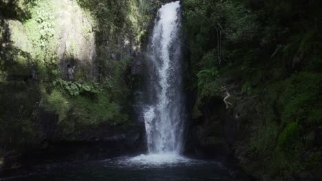 waterfall in lush forest