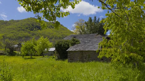 remains of an old forest cabin surrounded by trees with a mountain behind