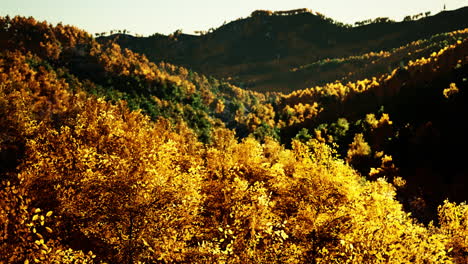 Valley-with-autumn-trees-among-the-mountains-lit-by-the-sun-at-sunset