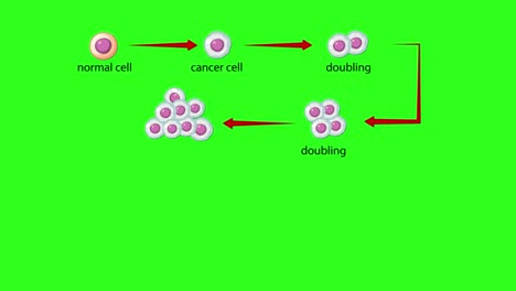 Animated sequence showing normal cell mutating into cancer, with exponential malignant cell growth and arrows