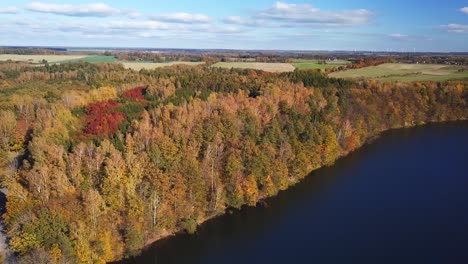 Pequeño-Lago-Rodeado-De-árboles