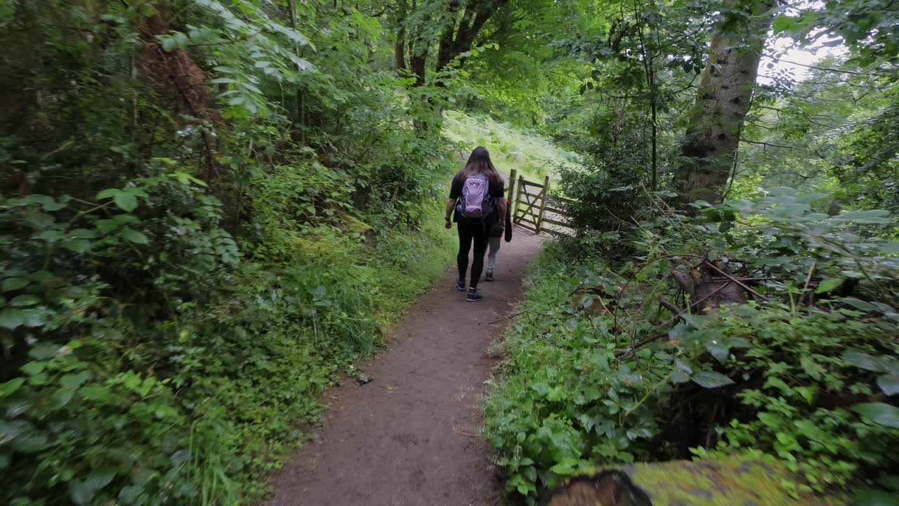 Boy and women hiking through woodland, countryside with backpacks traveling over rough ground.
Walkers, Hikers in the Lake District National Park