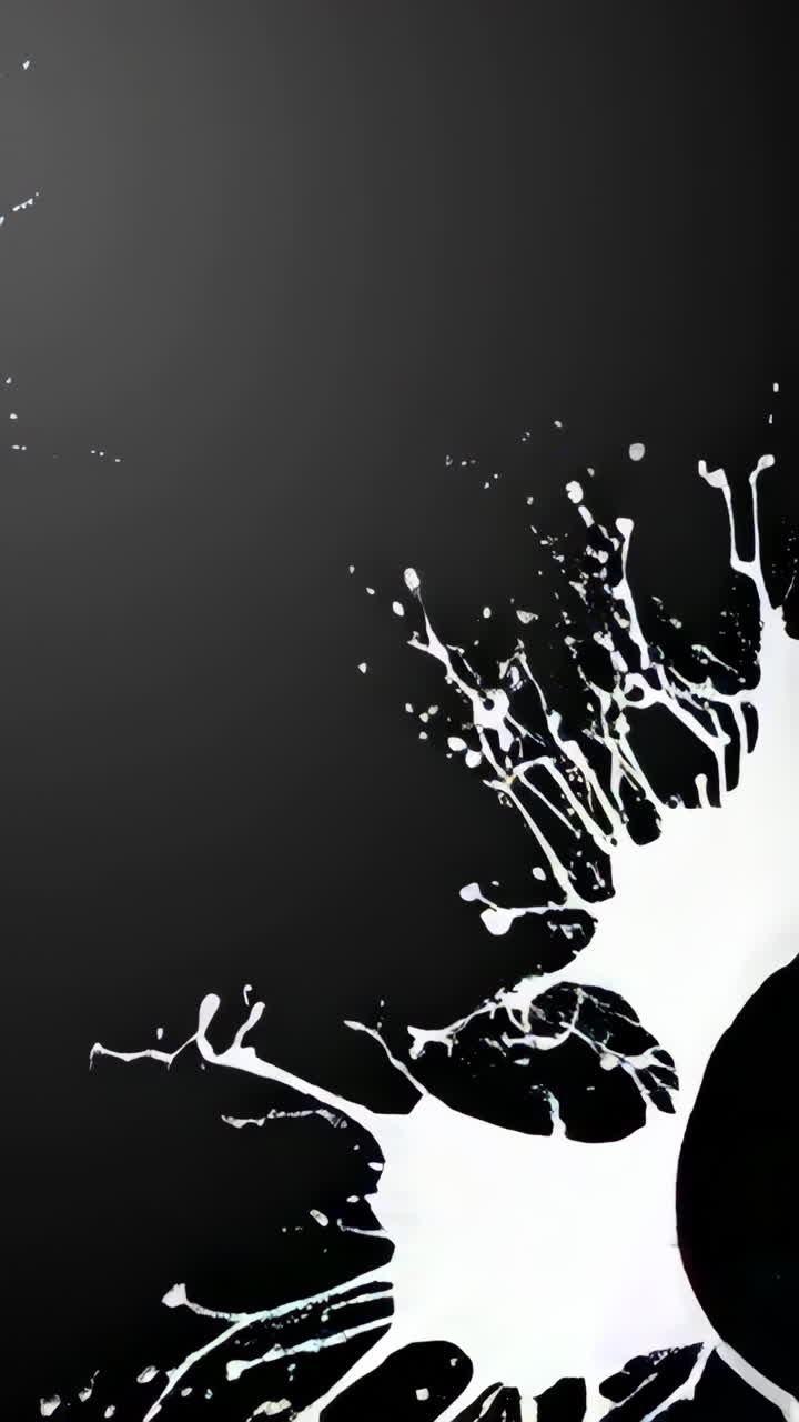 Abstract Black and White Paint Splashes