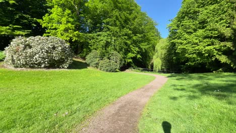 on the path in a green park