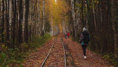 a lonely woman walks along a narrow-gauge railway in the woods