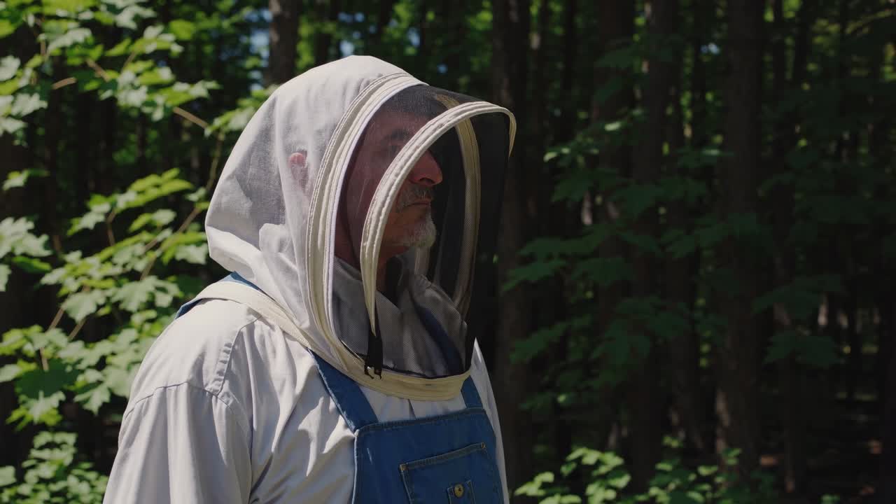 Beekeeper in a protective suit walking through a lush forest on a sunny summer day, tending to beehives and collecting honey, ensuring the health of the thriving apiary