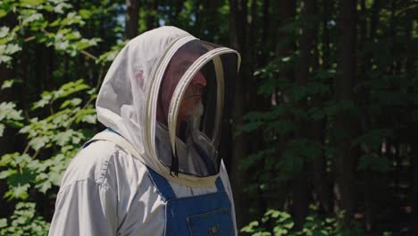 beekeeper in a protective suit walking through a lush forest on a sunny summer day, tending to beehives and collecting honey, ensuring the health of the thriving apiary