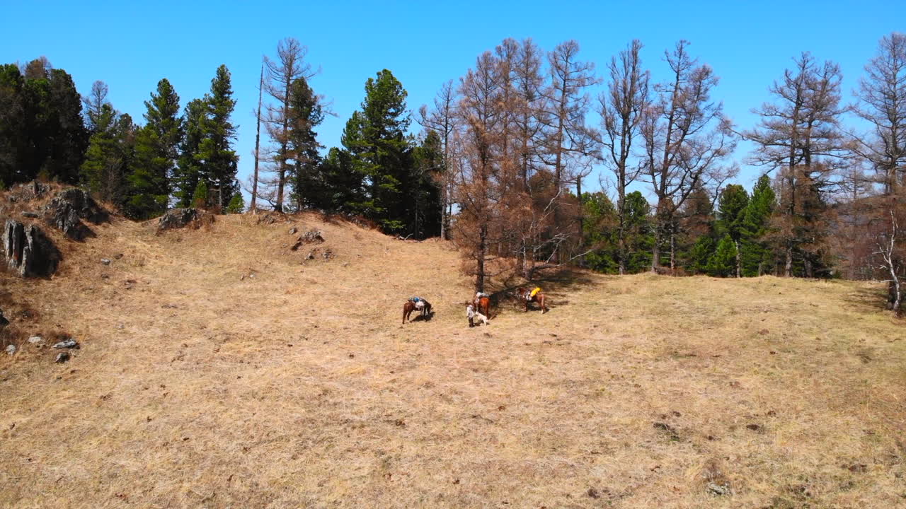 People and horses in a vast dry landscape with trees