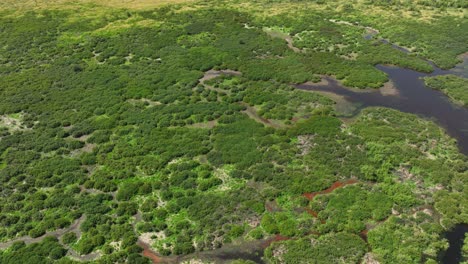 Drone-shot-of-the-wet-marsh-land-surrounding-Spirit-Lake,-Idaho