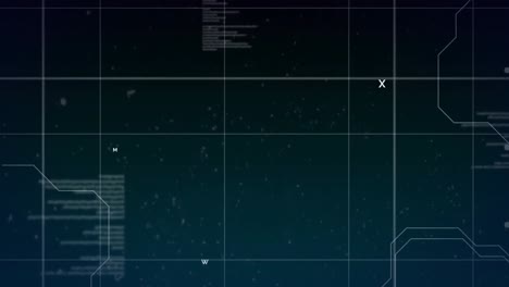 animación de la red de conexiones y procesamiento de datos