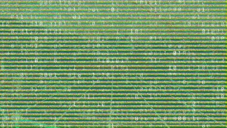 animación del procesamiento de datos sobre la interferencia