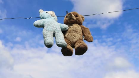 two teddy bears hang on a rope after two teddy bears hang on a rope after washing