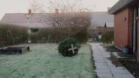 christmas tree gets thrown out of house front door into the garden