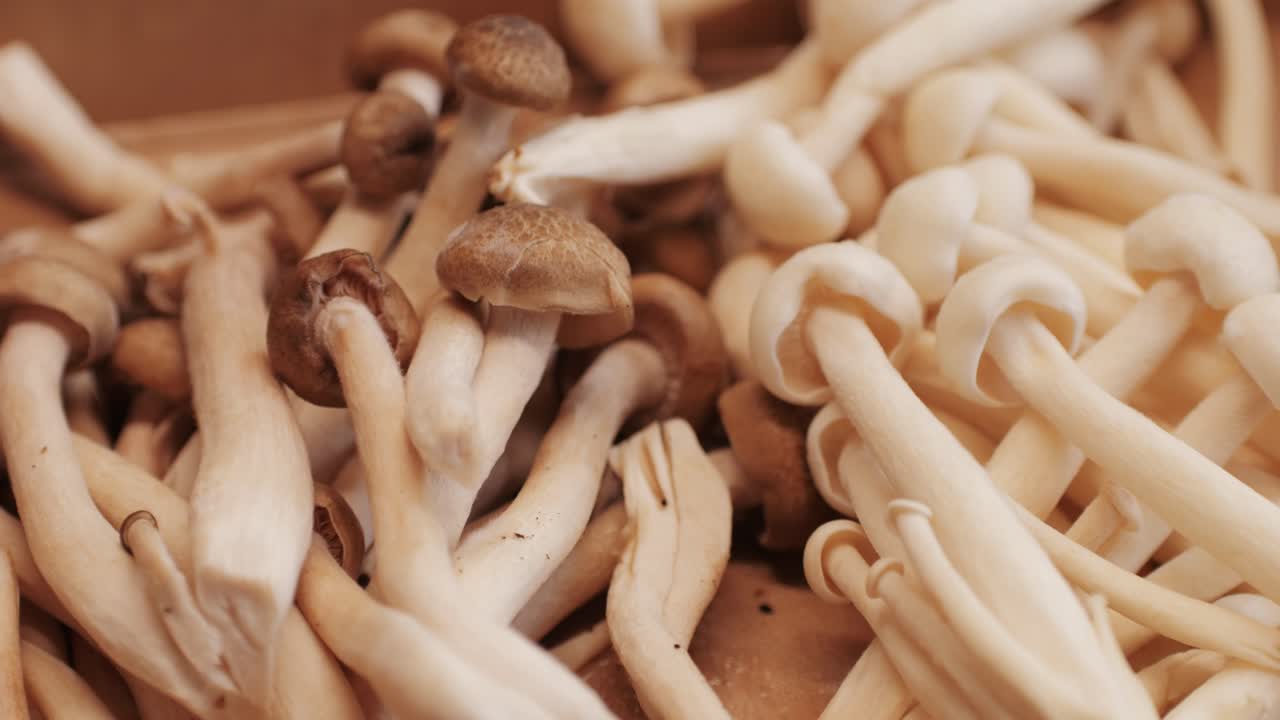 Cooking honey mushroom on black pan with oil close-up. Mushrooms frying on boiling pan for garnish. Armillaria is honey fungi that live on trees and woody shrubs