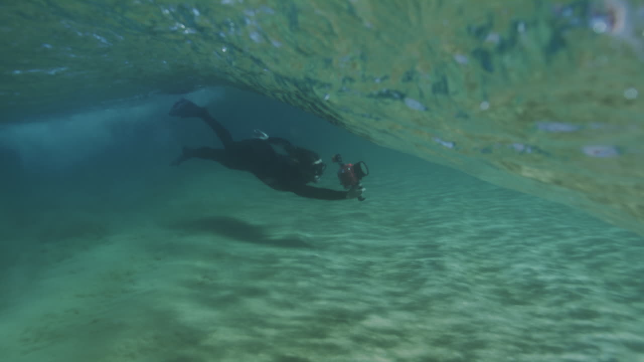 Slow-motion underwater clip of fish swimming above a seaweed bed in clear ocean water, showcasing the richness of the marine habitat and natural scenery