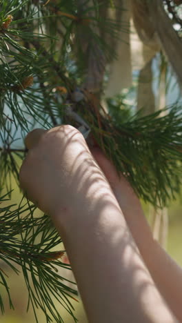 woman hands tie fabric strip on wishing tree branch at countryside side view. ancient ritual to get luck. traditional symbolic rituals and magic