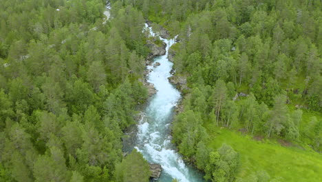 Aerial-View-Of-Lush-Vegetation-And-Flowing-River-In-Gudbrandsjuvet,-Norway---drone-shot