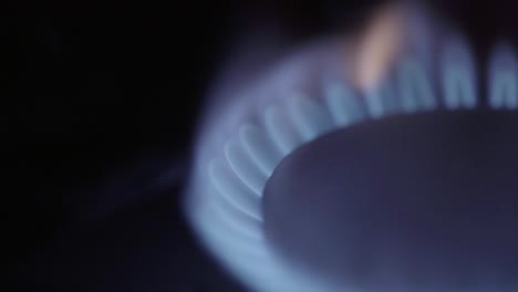 close-up of a fire in a gas stoker on a gas stove