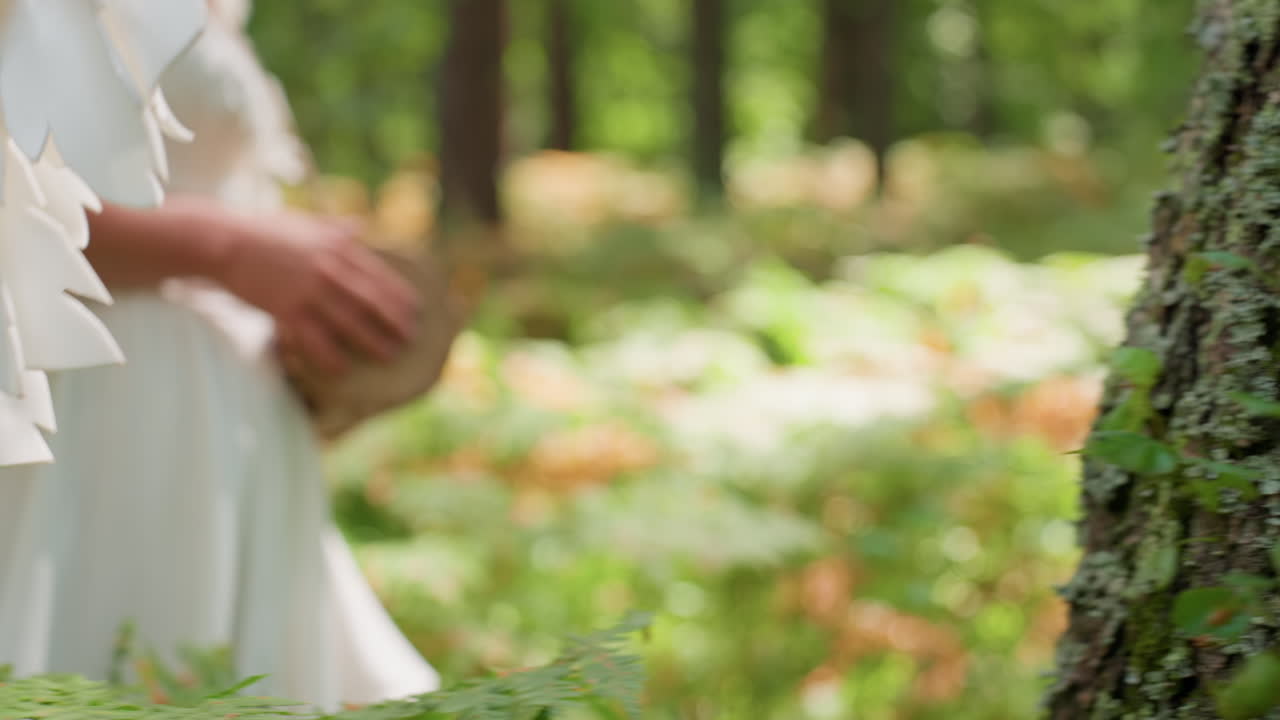 Goddess of love walking gracefully through lush green woods, sunlight filtering through trees onto mossy bark and soft leaves, evoking peace, mystery, and divine connection