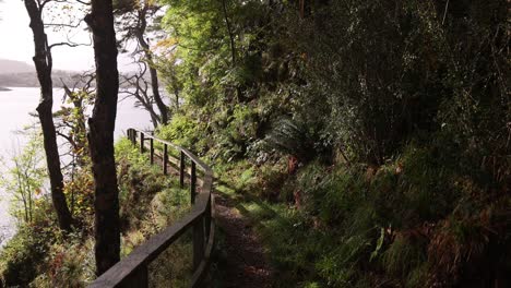 hiking path through lush vegetation along the seaside in portree on isle of skye, highlands of scotland