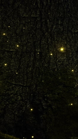 fireflies glowing on a tree trunk