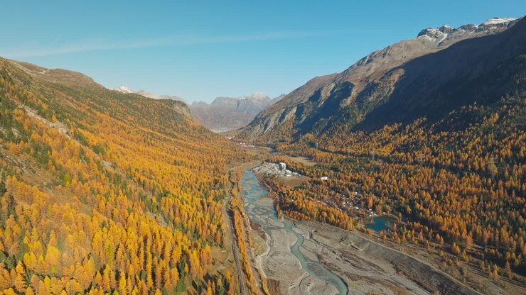 Glacier river Ova da Bernina running through autumn colored valley in Alps