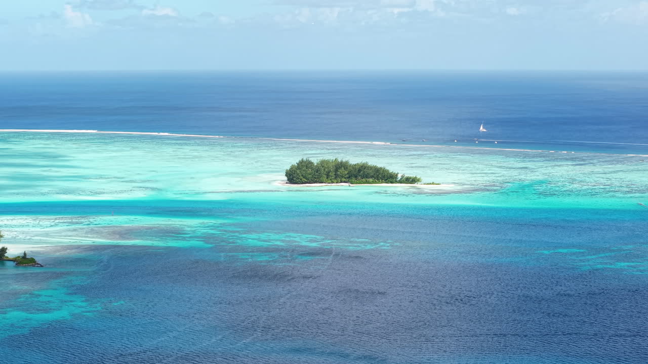 바다 속 의 열대 섬