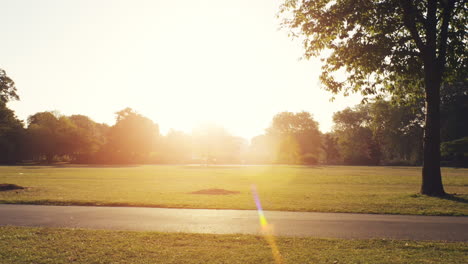 Road-runner-woman-running-in-park-in-the-morning-motion-track-high-definition-video