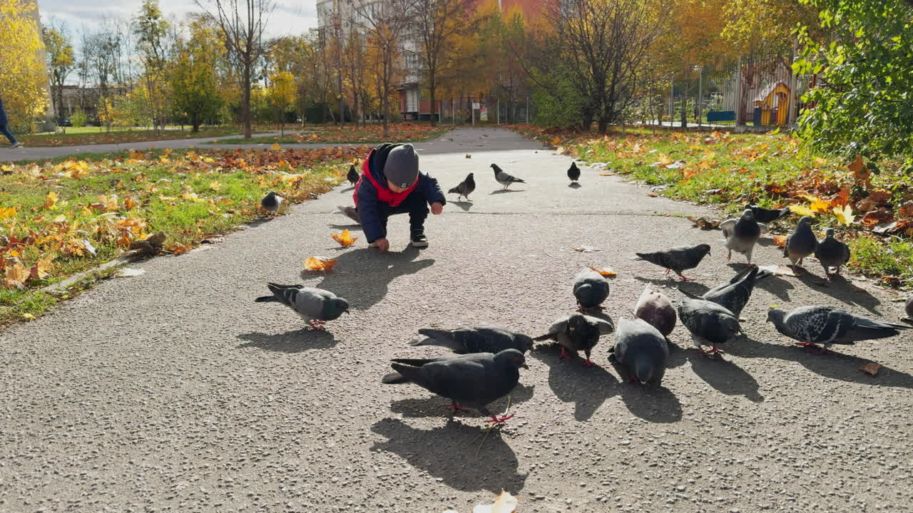 Toddler boy picking something from the ground. Pigeons walk by the alley searching for food.