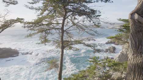 Toma-Ascendente-De-árboles-En-La-Ladera-De-Una-Colina-Con-Olas-Rompiendo-En-El-Fondo-Del-Océano-Pacífico-Ubicado-En-Big-Sur-California