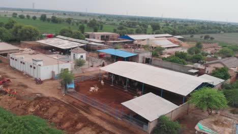 Vista-Aérea-Sobre-Edificios-Agrícolas-Para-Vacas-En-La-Zona-Rural-De-Sindh,-Pakistán