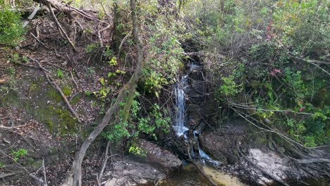 Cascada-Derramándose-En-Econfina-Creek-En-Florida-Panhandle