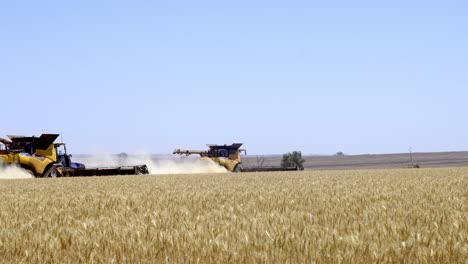 this footage captures the synergy of modern agricultural technology, showcasing the essential role of header fronts in the wheat harvesting process