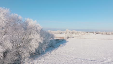 冬天鄉村風景的空中拍攝, 雪覆蓋的田園和樹木, 寒冷的凍結天氣, 陽光明<unk>的冬天, 藍天, 廣<unk>上升的無人機拍攝向前移動