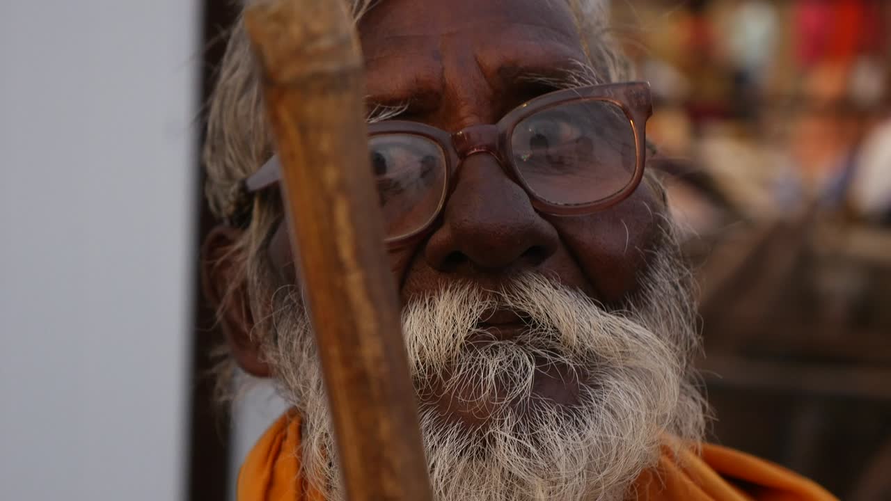 Ritratto di un santo Sadhu indiano