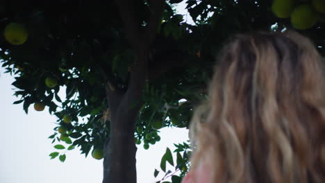 woman in pink sweater walks towards ripe orange hanging on tree in daytime