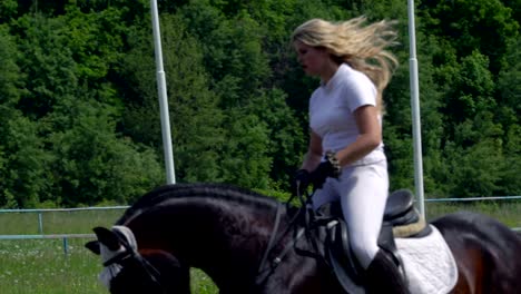 a beautiful girl in white hair and white clothes is riding a black brown stallion. the girl makes the horse perform various beautiful movements. the girl's hair develops in the wind. sunny summer day on a green glade.