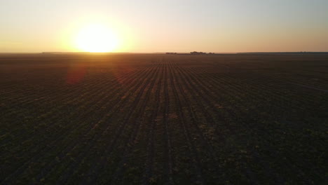 aerial view of beautiful sunset in the distance