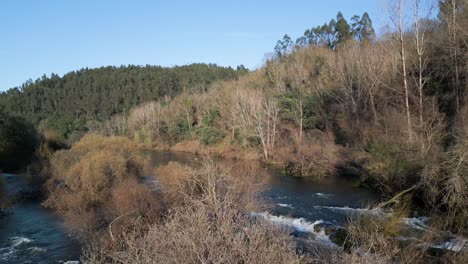 el tranquilo flujo del río támega en chapa amarante, portugal - aero