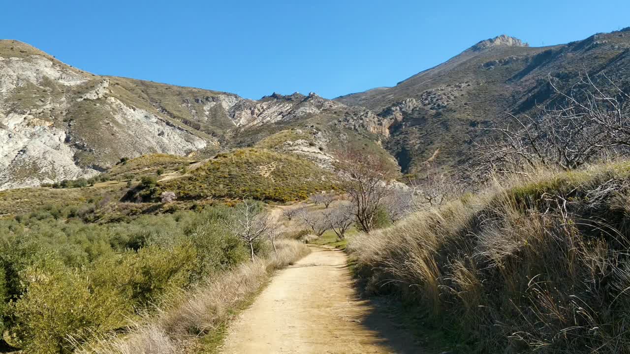 ruta de senderismo por el campo cerca del olivar con fondo de montaña