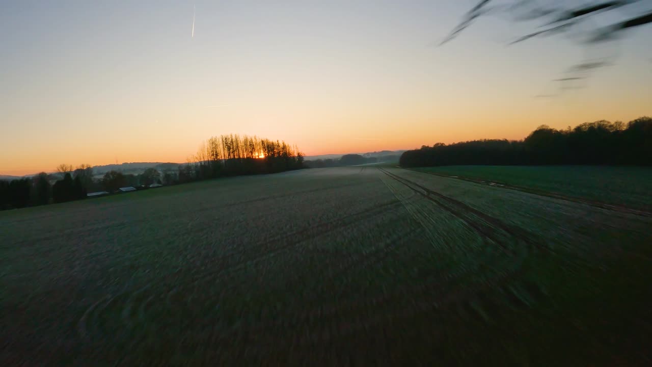vuelo fpv a través de un hueco en un árbol al atardecer