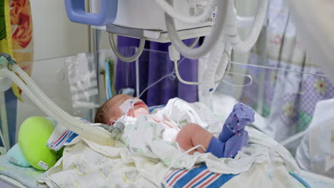 bebé prematuro en la unidad de cuidados intensivos neonatales