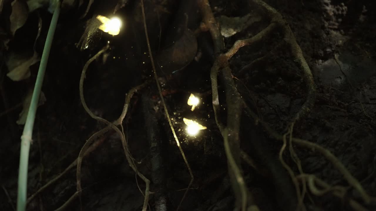 Glowing Fairies and Sparkling Lights in a Mystic Grove